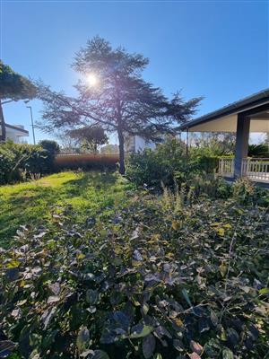 casa indipendente in vendita ad Anzio in zona Cincinnato