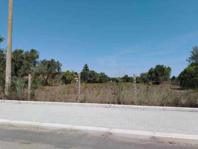 terreno agricolo in vendita ad Anzio in zona Stazione