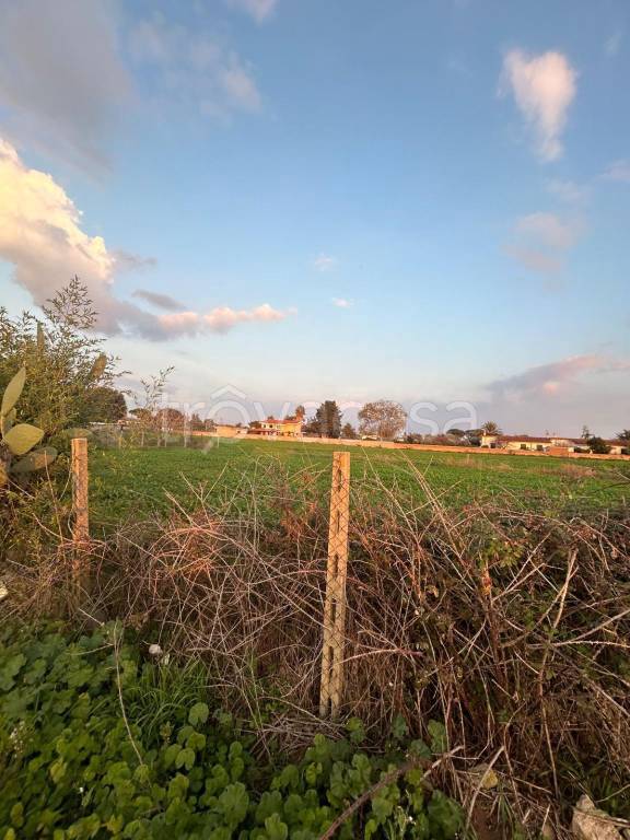 terreno agricolo in vendita ad Anzio