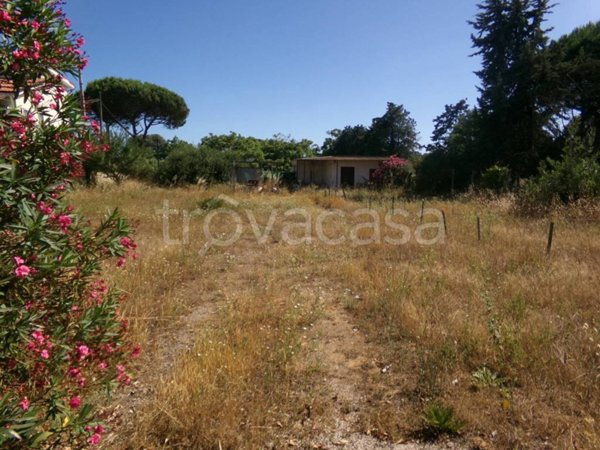 terreno agricolo in vendita ad Anzio