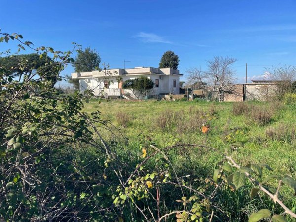 terreno agricolo in vendita ad Anzio in zona Lido dei Pini