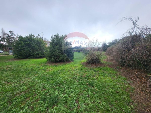 terreno agricolo in vendita ad Anzio in zona Marechiaro