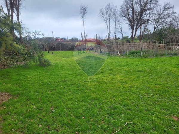 terreno agricolo in vendita ad Anzio in zona Anzio Colonia