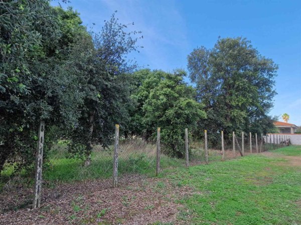 terreno agricolo in vendita ad Anzio in zona Lido dei Pini