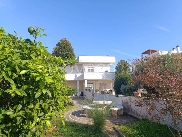 immagine annuncio 0 di 1