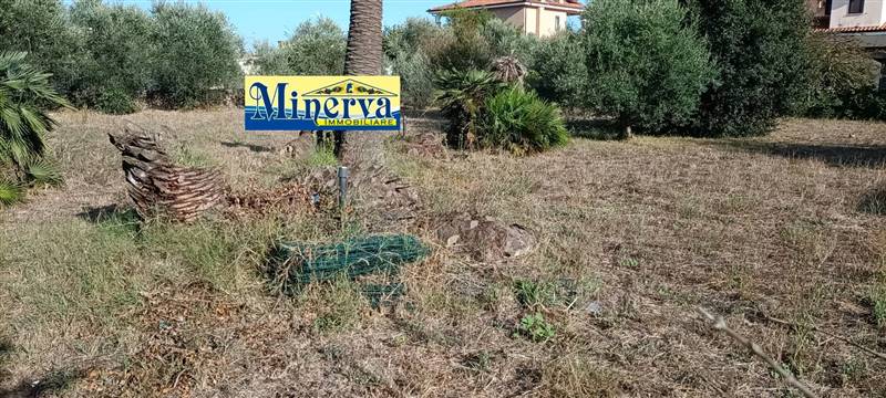 terreno agricolo in vendita ad Anzio