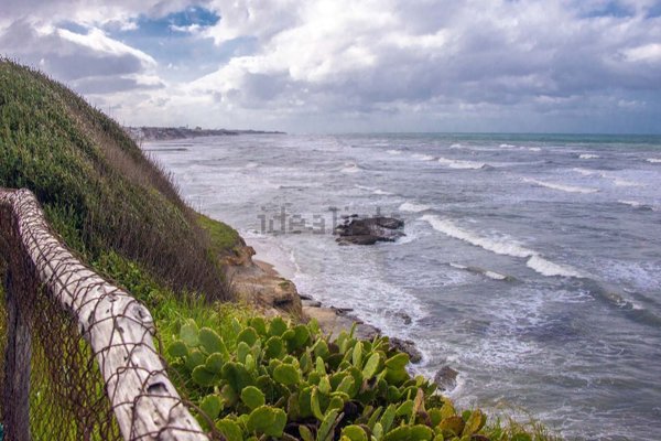 appartamento in vendita ad Anzio in zona Mare