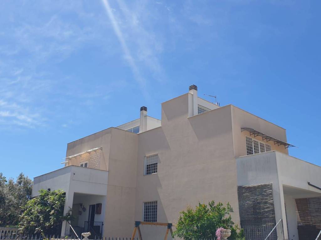 esavano in vendita ad Anzio in zona Marechiaro