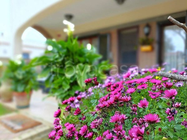 casa indipendente in vendita ad Anzio in zona Mare