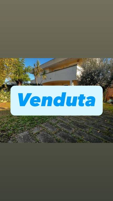 casa indipendente in vendita ad Anzio in zona Villa Claudia