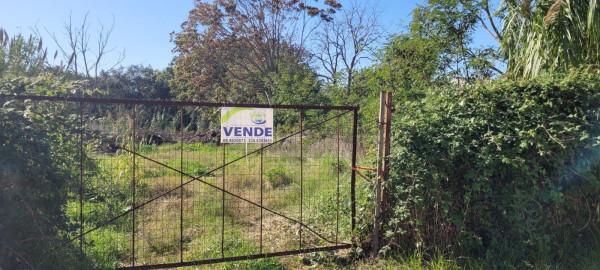 negozio in vendita ad Anzio in zona Lido dei Pini