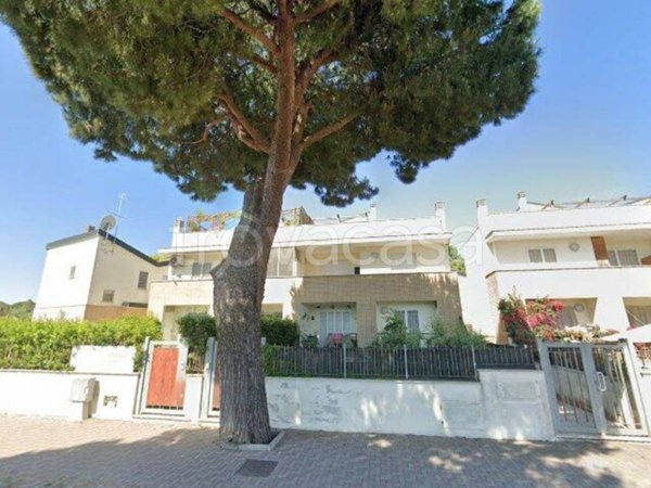 appartamento in vendita ad Anzio