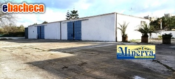 appartamento in vendita ad Anzio