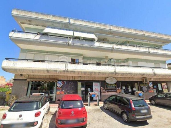 negozio in vendita ad Anzio
