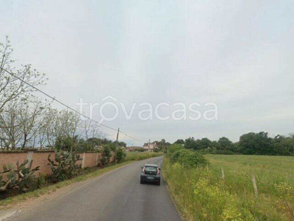 negozio in vendita ad Anzio