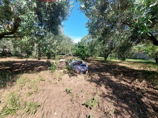 terreno edificabile in vendita ad Anzio