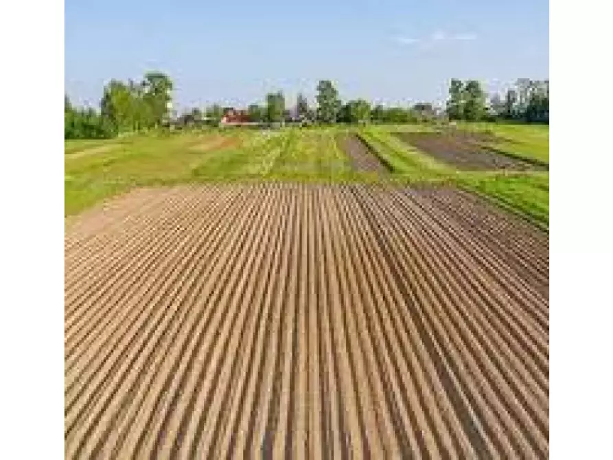 terreno agricolo in vendita ad Anzio