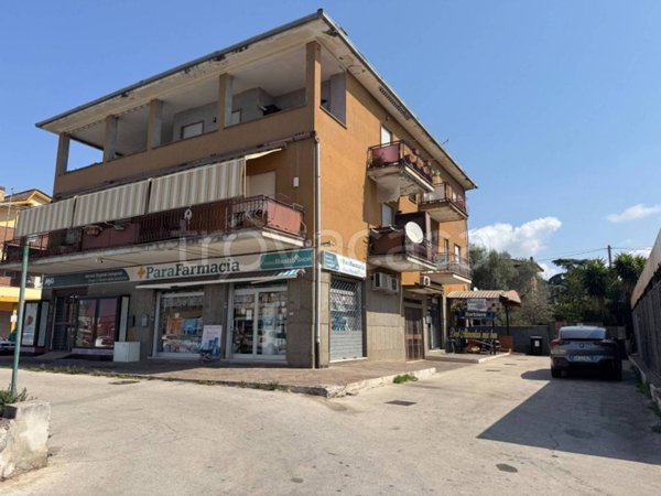 appartamento in vendita ad Anzio in zona Lido dei Pini