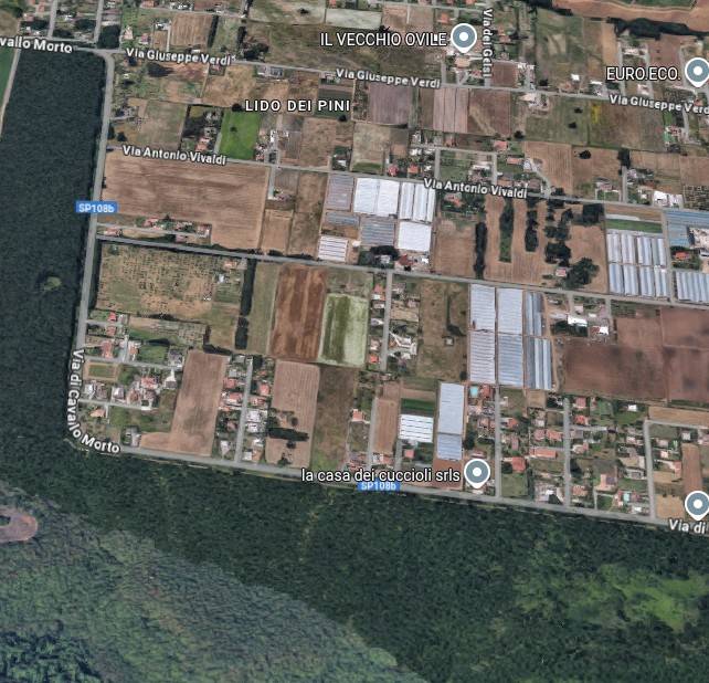 appartamento in vendita ad Anzio in zona Lido dei Pini