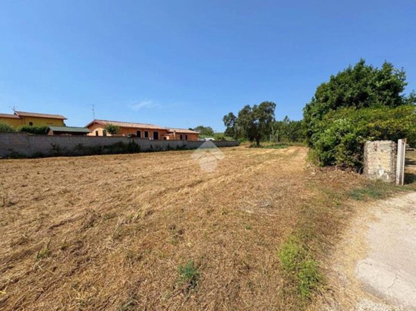 terreno agricolo in vendita ad Anzio in zona Villa Claudia