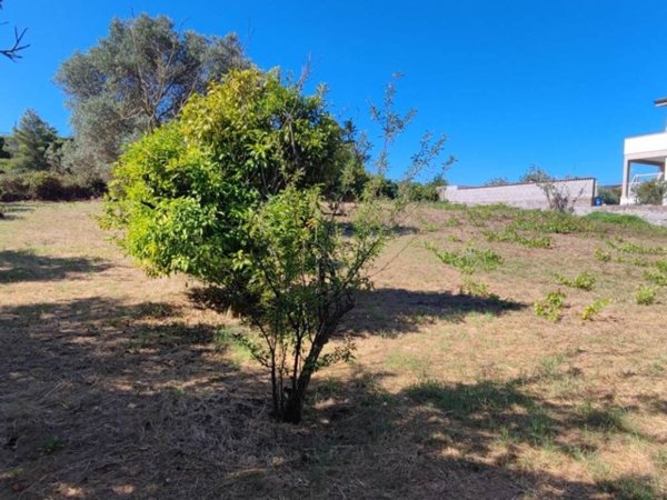 terreno agricolo in vendita ad Anzio in zona Anzio Colonia