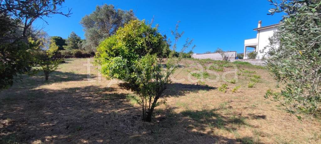 terreno agricolo in vendita ad Anzio