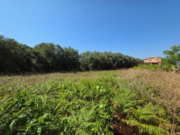 terreno agricolo in vendita ad Anzio in zona Mare