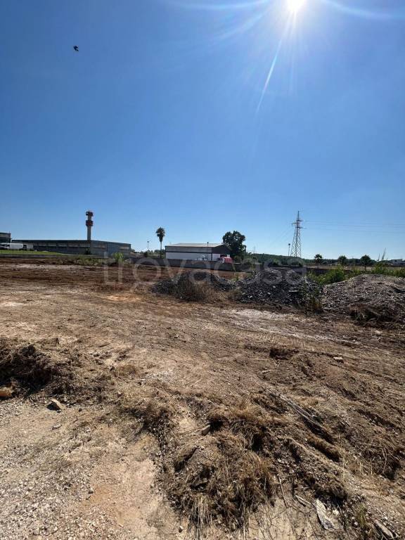 terreno agricolo in vendita ad Anzio