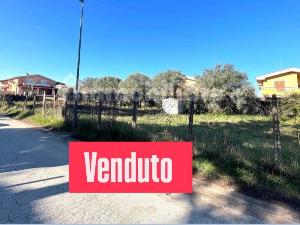 terreno agricolo in vendita ad Anzio in zona Mare