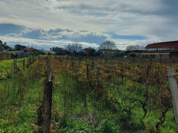 terreno agricolo in vendita ad Anzio in zona Stazione