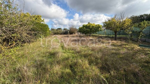 terreno agricolo in vendita ad Anzio in zona Stazione