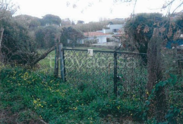 terreno agricolo in vendita ad Anzio in zona Lido dei Pini