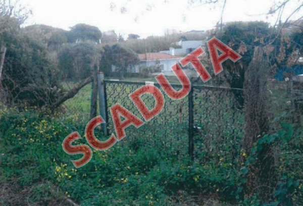 terreno agricolo in vendita ad Anzio