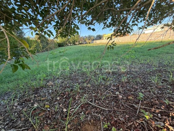 terreno agricolo in vendita ad Anzio