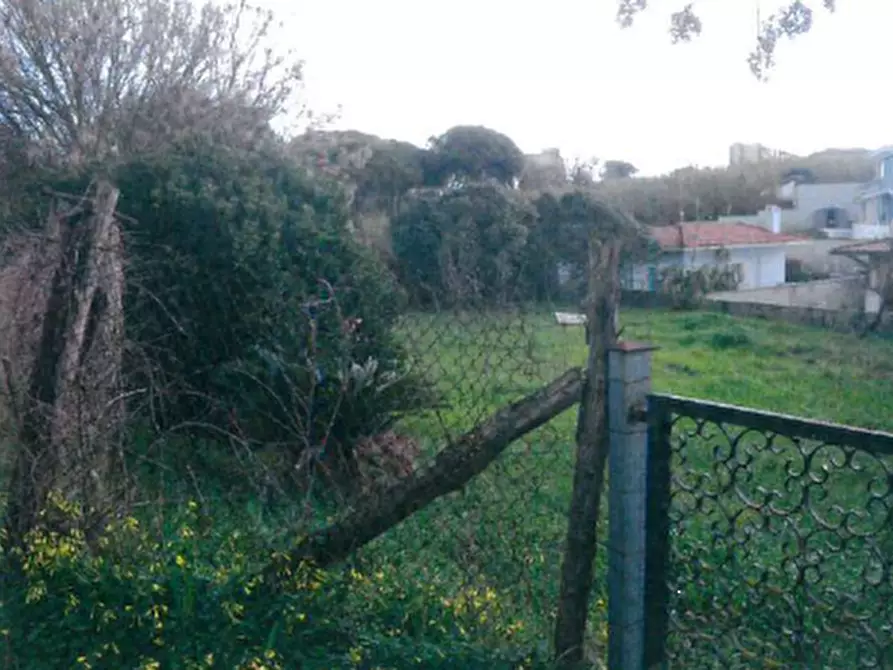 terreno agricolo in vendita ad Anzio