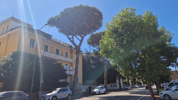 appartamento in vendita ad Anzio in zona Mare