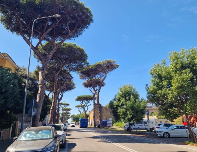 appartamento in vendita ad Anzio in zona Mare