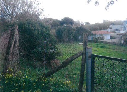 immagine annuncio 0 di 10