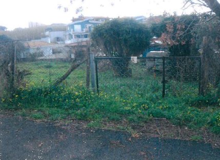 immagine annuncio 0 di 10