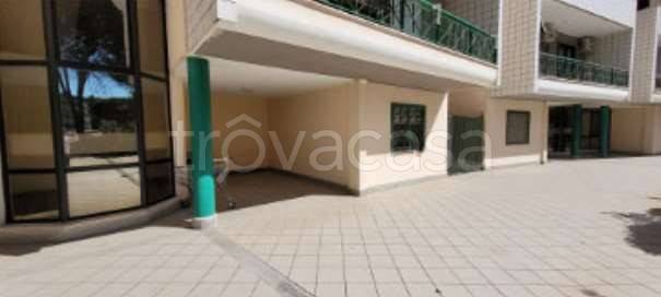 appartamento in vendita ad Anzio