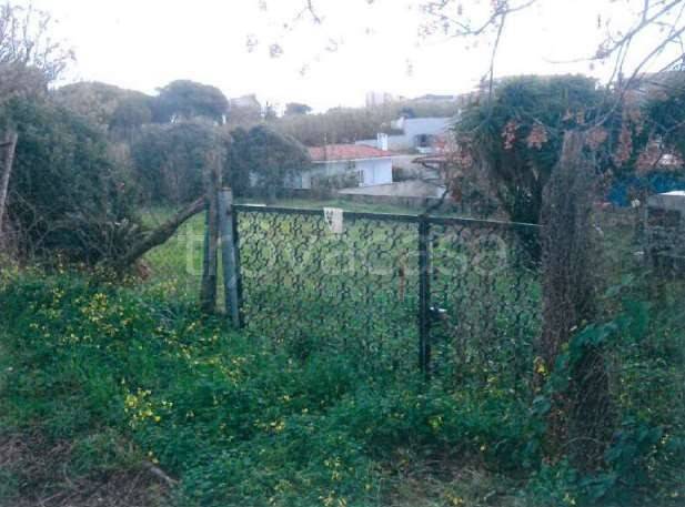 terreno agricolo in vendita ad Anzio in zona Mare