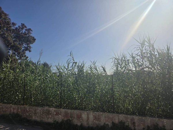 negozio in vendita ad Anzio