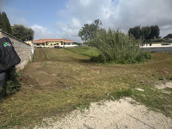 negozio in vendita ad Anzio