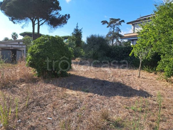 terreno agricolo in vendita ad Anzio in zona Villa Claudia