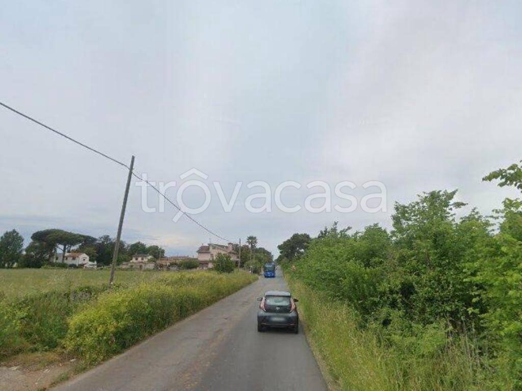 negozio in vendita ad Anzio