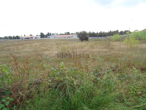 casa indipendente in vendita ad Anzio