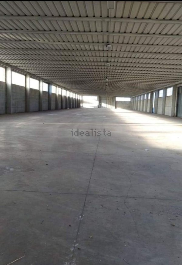 capannone in vendita ad Anzio