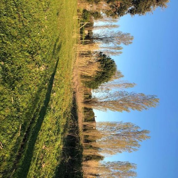 casa indipendente in vendita ad Anzio in zona Mare
