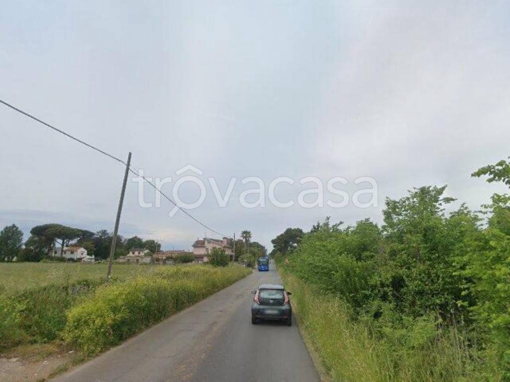 negozio in vendita ad Anzio