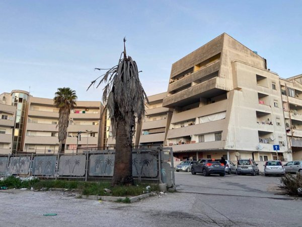 appartamento in vendita ad Anzio